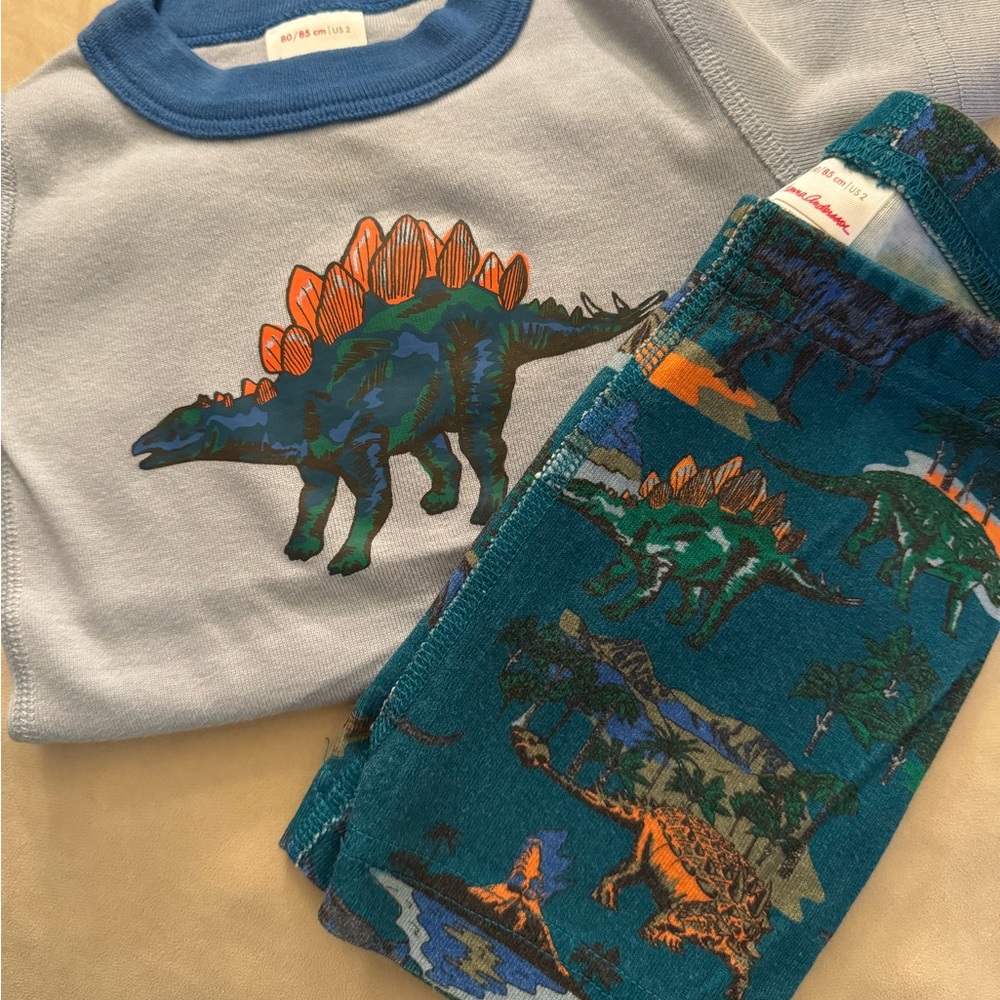 Dinosaur Hanna Andersson Short Johns Size 2T
